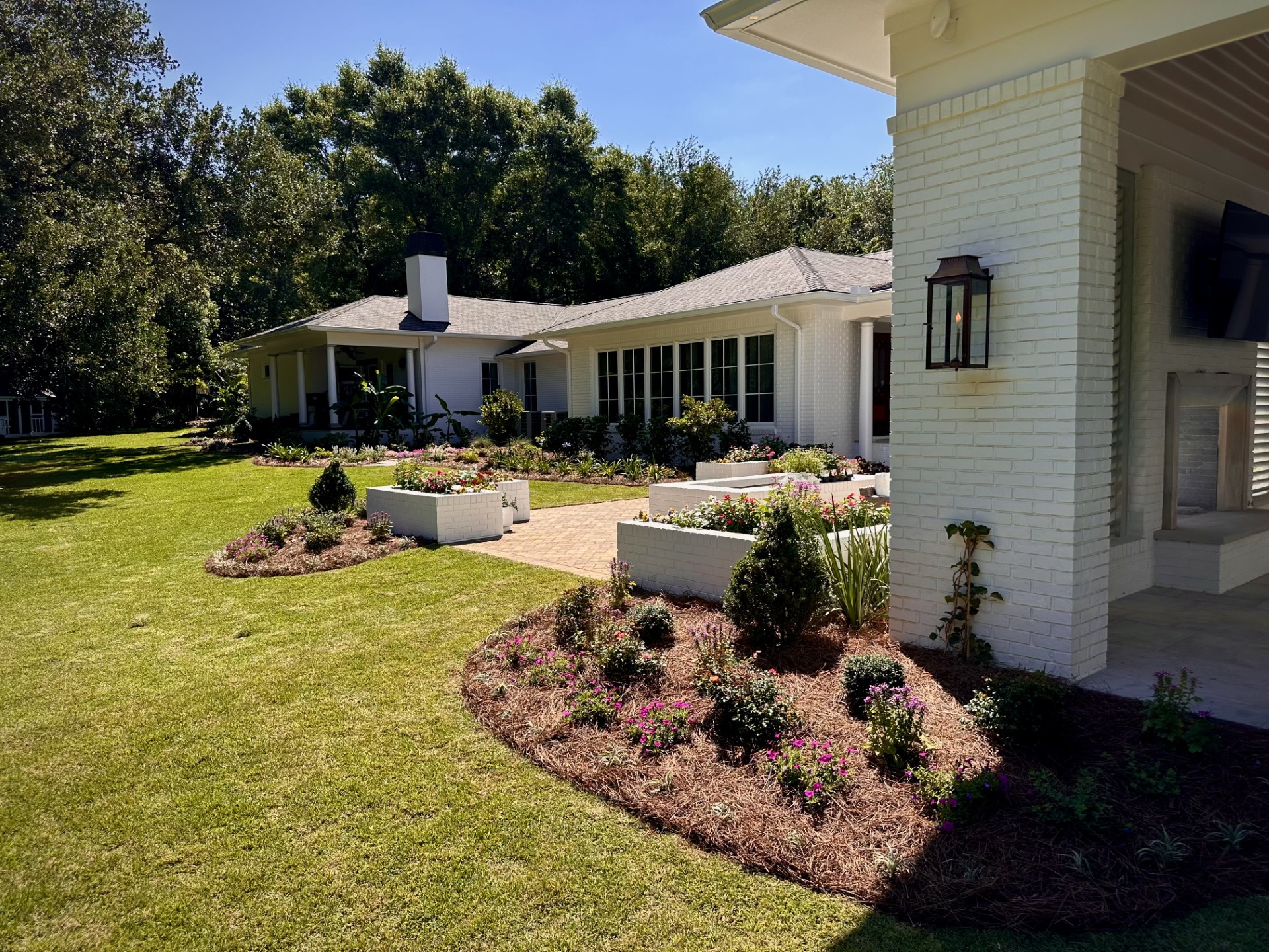 A Fairhope front yard at dusk with uplit crepe myrtles and a lit gravel walkway
