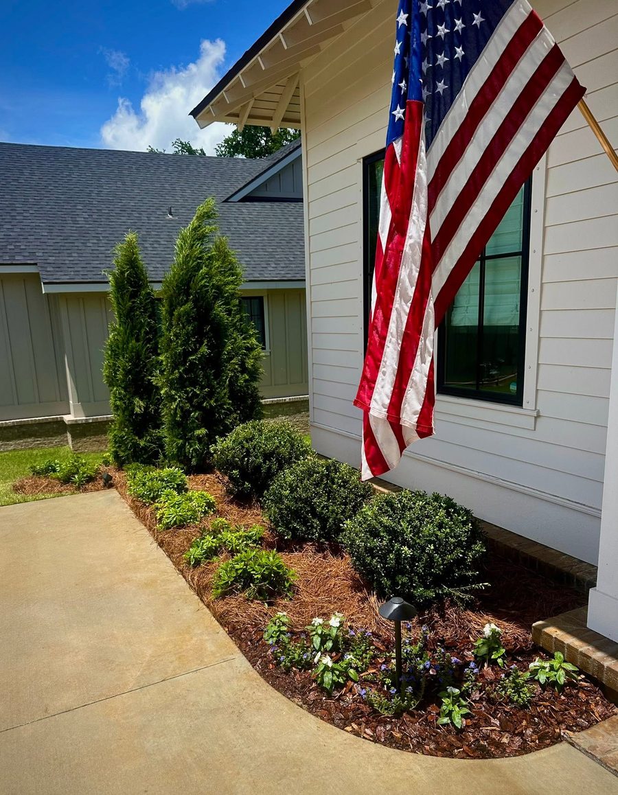Foundation planting bed with boxwoods and pine straw