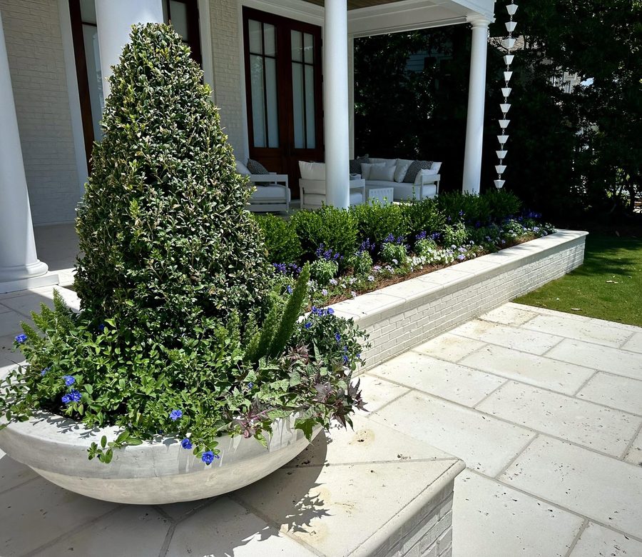 Clipped topiary in a bowl planter surrounded by seasonal flowers
