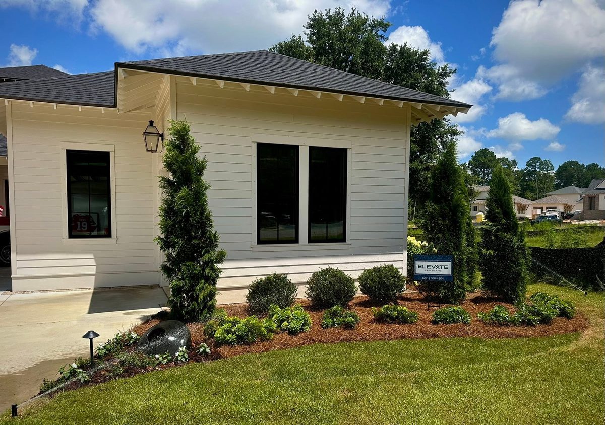 Foundation bed with arborvitae, boxwoods and pine straw